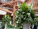 orchids, roses, gladious, snapdragons designed in a cascading design.